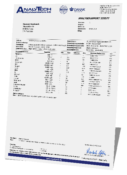 rapport